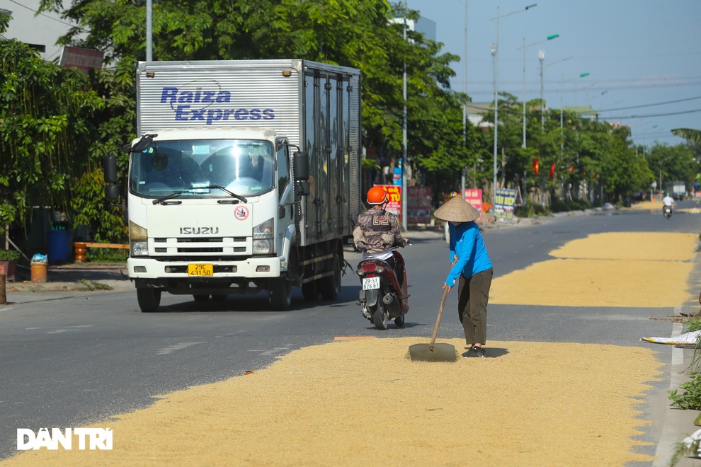 Nông dân Hà Nội: Chúng tôi biết sai nhưng vẫn phơi thóc trên mặt đường - 3 Nông dân Hà Nội: Chúng tôi biết sai nhưng vẫn phơi thóc trên mặt đường - 3