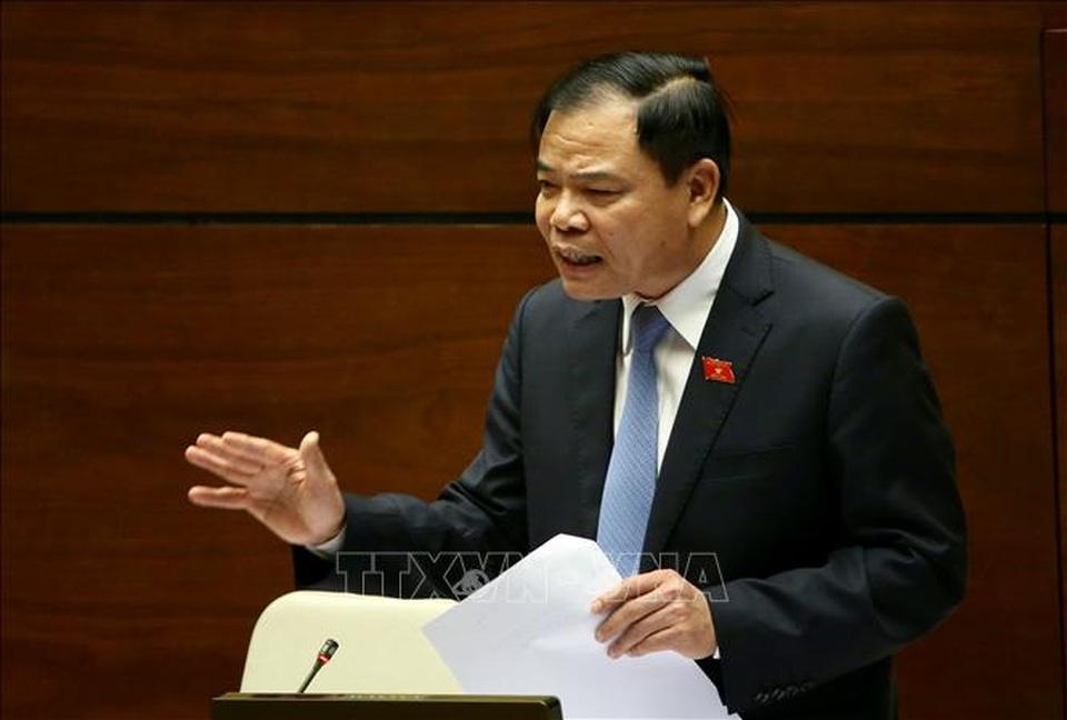 Vì sao người dân chỉ được ăn thịt lợn giá rẻ trên tivi? - 2 Vì sao người dân chỉ được ăn thịt lợn giá rẻ trên tivi? - 2