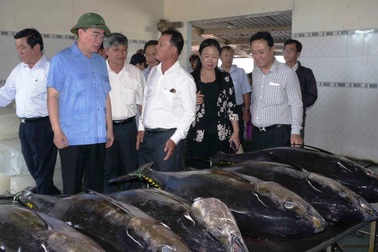 Chủ tịch UBTƯMTTQ Việt Nam: Cần tăng cường đối thoại với ngư dân