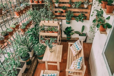 Cải tạo ban công cũ mèm 6m2 thành khu vườn thơ mộng