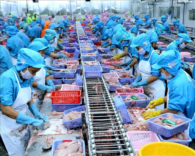 Mặt hàng tôm xuất khẩu.