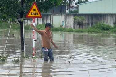 Đường biến thành "sông", người dân tranh thủ thả lưới bắt cá
