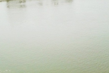 Phạt hơn 800 triệu đối với 4 công ty, doanh nghiệp thủy sản