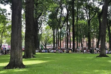 Sài Gòn cuối tuần... Đi cà phê bệt