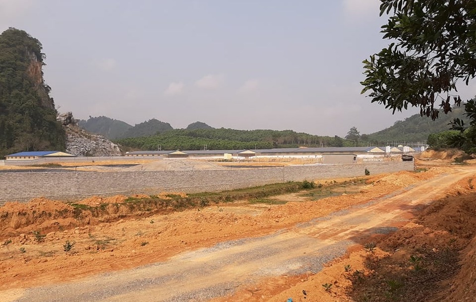 Dân khốn khổ vì trang trại lợn: Nước thối đến mức trâu còn không muốn tắm - 2 Dân khốn khổ vì trang trại lợn: Nước thối đến mức trâu còn không muốn tắm - 2