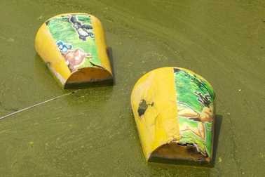 Cảnh hoang tàn tại công viên nước nổi tiếng một thời ở TPHCM