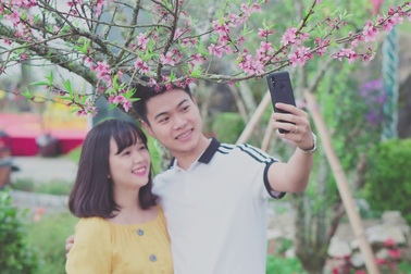 Ngắm thiên đường hoa đào Fansipan mùa đẹp nhất năm