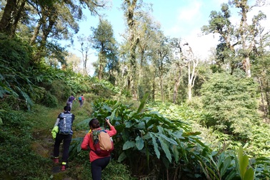 Cảnh đẹp "níu chân" người trên cung leo Nhìu Cồ San và đường đá cổ Pavie