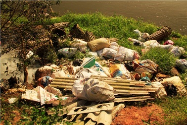 Không còn tình trạng người dân vứt xác súc vật chết ra đường