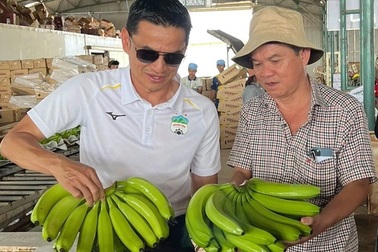 Bầu Đức tiếp tục đón tin vui nhờ cây chuối