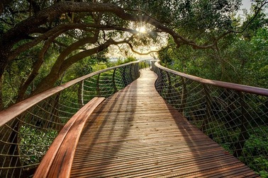 Ấn tượng cây cầu đi bộ xuyên núi ở Nam Phi