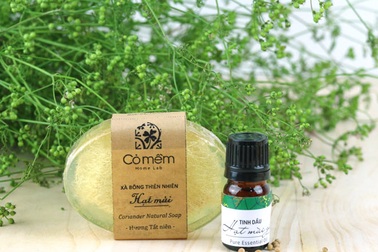 Nhớ hương mùi già – Nhớ vị Tết Việt Nam