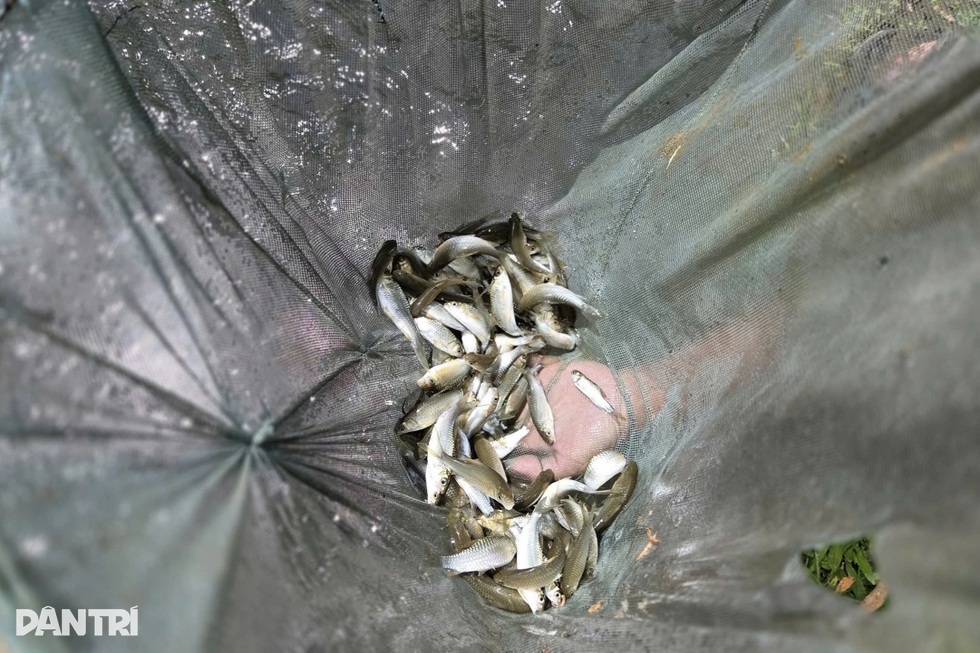 Lão nông chỉ học hết lớp 3, thành đại gia nhờ nhân giống loài cá đặc sản - 3 Lão nông chỉ học hết lớp 3, thành đại gia nhờ nhân giống loài cá đặc sản - 3