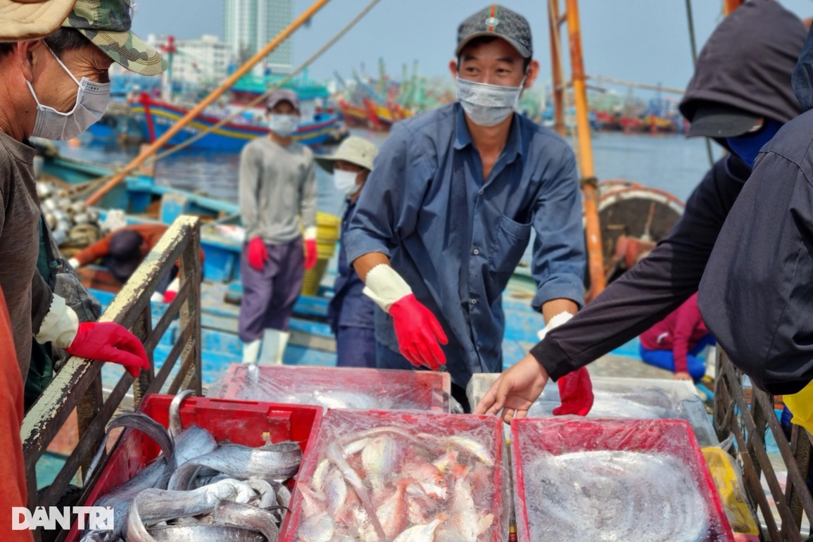 Xăng dầu tăng phi mã, ngư dân Đà Nẵng gác thuyền nằm bờ - 2 Xăng dầu tăng phi mã, ngư dân Đà Nẵng gác thuyền nằm bờ - 2