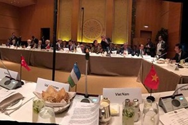 Tấm ảnh ngủ gật và cách chợp mắt ở Liên Hợp Quốc