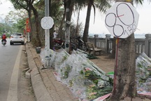 Hà Nội: Hoa tươi "đổ đống" đầy vỉa hè, nhà vườn bất lực nhìn giá "lao dốc"