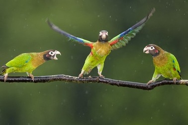 Bộ ảnh khoa học, thiên nhiên ấn tượng tuần qua