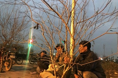 Những người “buôn Tết” muộn