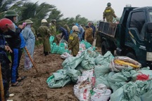 Gần 300 người “vá” đê trong mưa lớn