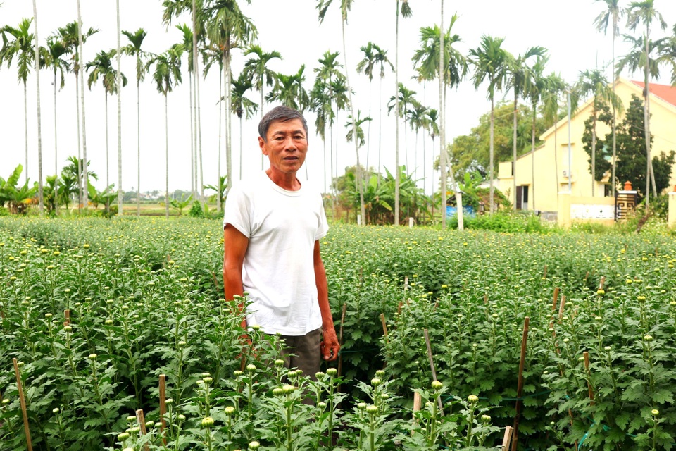 Hội An: Hoa, cây cảnh chơi Tết tăng giá - 7 Hội An: Hoa, cây cảnh chơi Tết tăng giá - 7