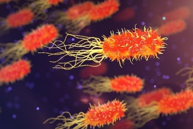 Đối mặt vi khuẩn kháng thuốc: Bác sĩ đau đầu vì tất cả vũ khí dần vô hiệu - 7