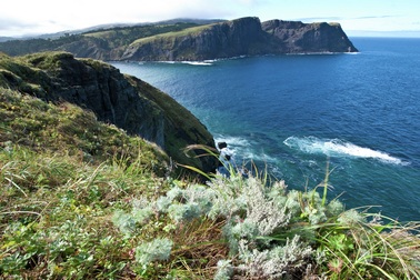 Nga ngăn thị trưởng Nhật Bản tới gần đảo tranh chấp