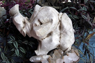 “Nhặt được” voi đá giá “khủng”