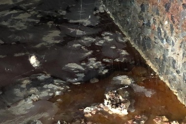 Sau vụ quán cơm tấm sử dụng nguyên liệu “lạ”, phát hiện cơ sở ớt ngâm muối lẫn côn trùng