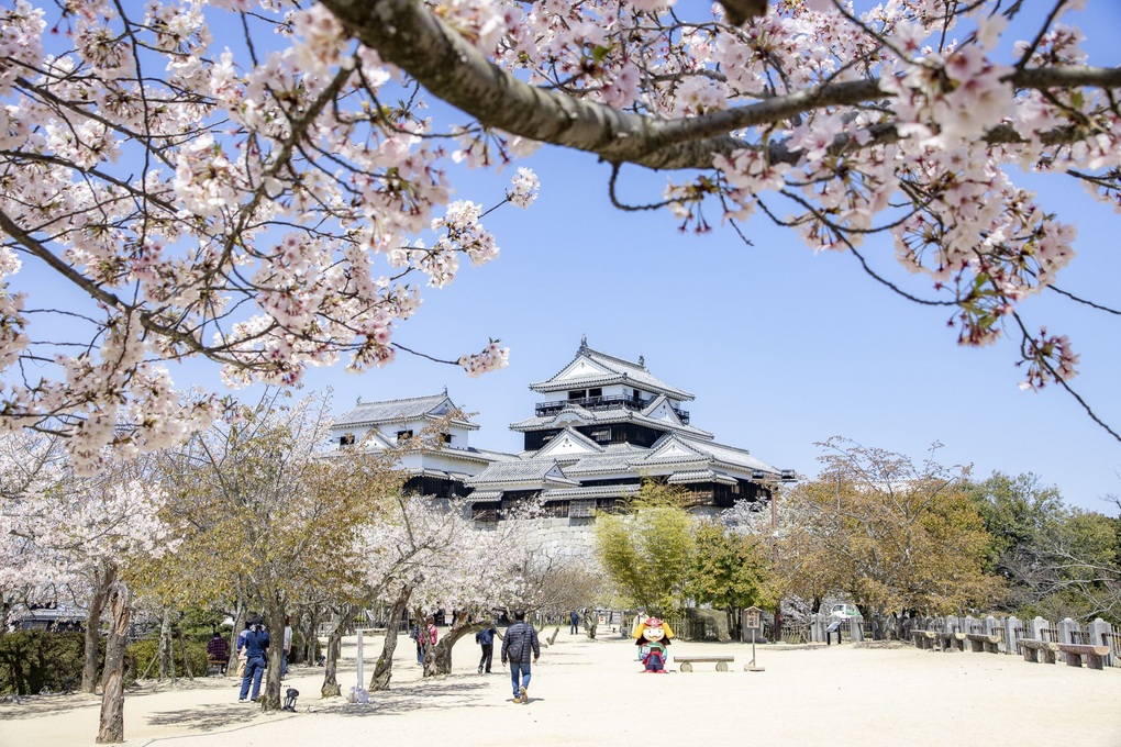 日本旅行の際は必ず訪れたい古代の城塞 - 1