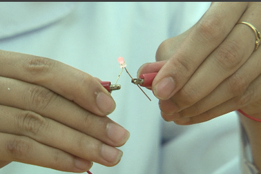 Thí nghiệm vui: Thắp sáng đèn led bằng… khoai tây