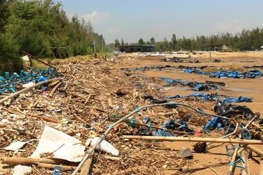 Những cánh đồng tôm tan hoang sau bão số 10