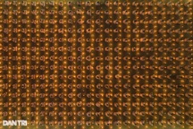 Hàng ngàn ngọn hoa đăng lung linh tại đại lễ kỷ niệm Đức Phật A Di Đà