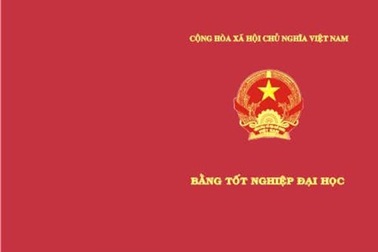 3 cán bộ dùng bằng giả, 3 kiểu kỷ luật khác nhau?