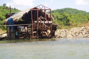 Rầm rộ đào vàng trong hồ thủy lợi