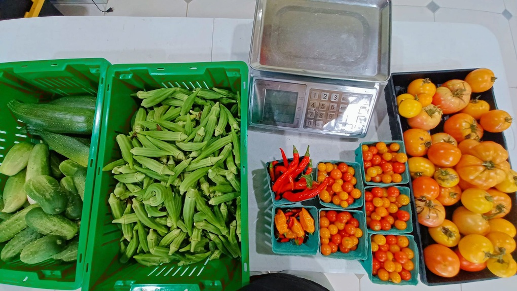 Khu vườn đặc biệt của người phụ nữ Việt lấy chồng thuộc bộ tộc kỳ lạ ở Mỹ - 12 Khu vườn đặc biệt của người phụ nữ Việt lấy chồng thuộc bộ tộc kỳ lạ ở Mỹ - 12