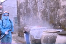 Sốt xuất huyết có nguy cơ bùng phát tại Thanh Hóa