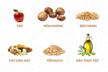6 thực phẩm hàng đầu giúp giảm cholesterol bạn nên ăn hàng ngày