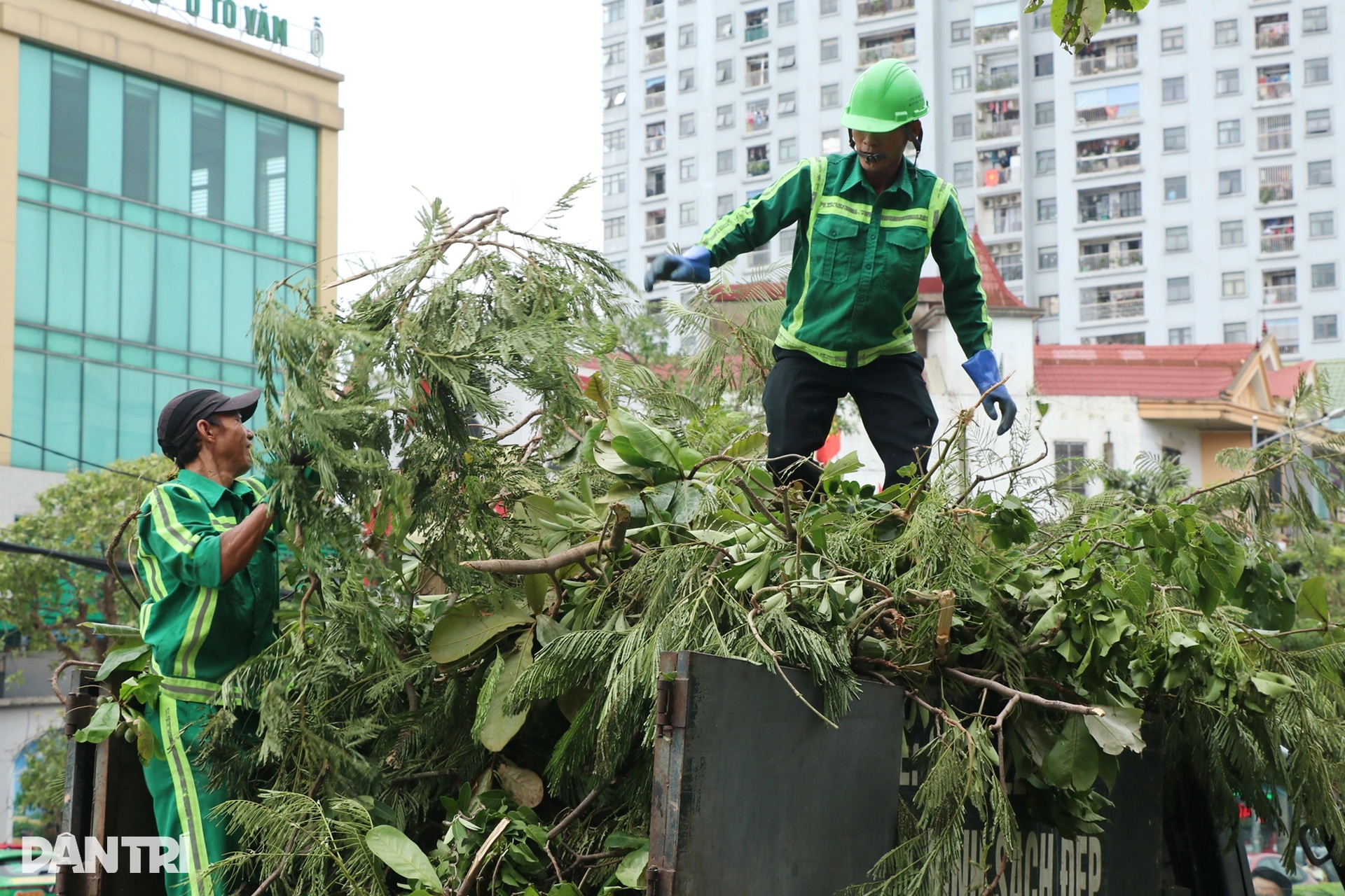 Lượng rác thải khổng lồ sau bão Kajiki - 9 Lượng rác thải khổng lồ sau bão Kajiki - 9