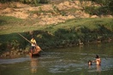 Học chung với lũ