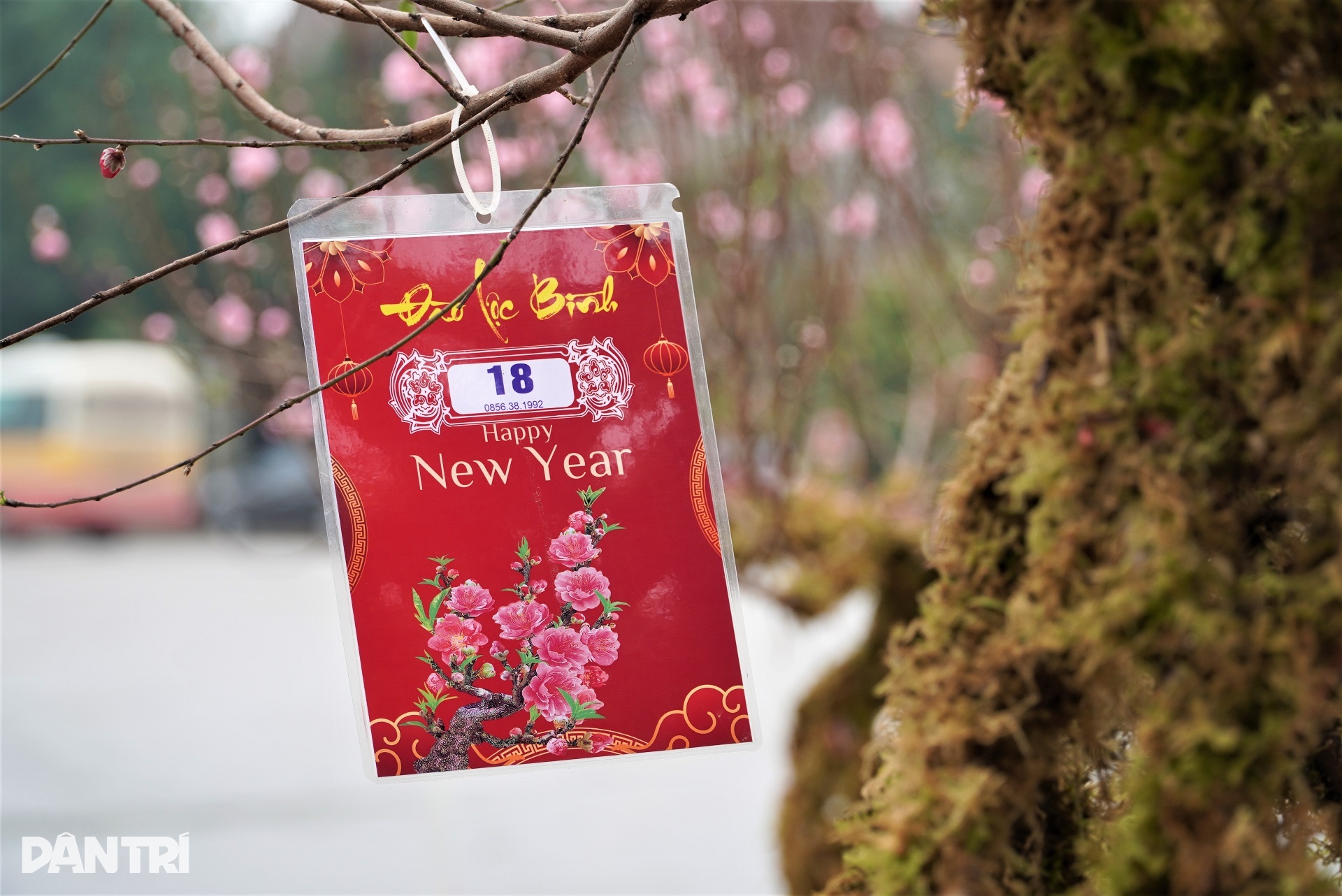 Unikátní váza s broskvovým květem v ceně kolem 10 milionů VND, uvedena na trh u příležitosti Tet Giap Thin 2024 - 9 Đào lộc bình độc lạ giá trên dưới 10 triệu đồng ra mắt Tết Giáp Thìn 2024 - 9