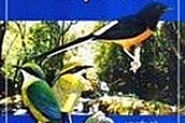 Tái bản 3.000 cuốn sách "Chim Việt Nam"