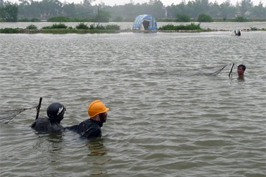 Nuốt nước mắt nhìn tôm trôi theo lũ