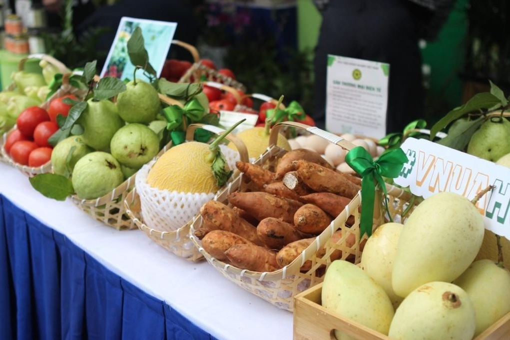 Dấu ấn của Học viện Nông nghiệp Việt Nam tại TechFest 2025: Công nghệ nông nghiệp lên ngôi - 1 Dấu ấn của Học viện Nông nghiệp Việt Nam tại TechFest 2025: Công nghệ nông nghiệp lên ngôi - 1