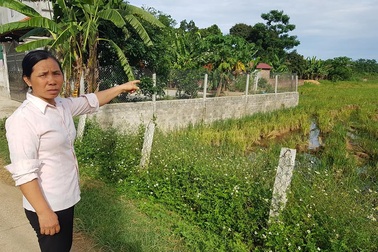 Ninh Bình: Gia đình liệt sỹ “tố” bị trưởng thôn chiếm đoạt đất sản xuất!