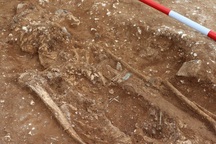 Phát hiện hài cốt và thanh kiếm của lãnh chúa cổ đại 1.400 năm tuổi