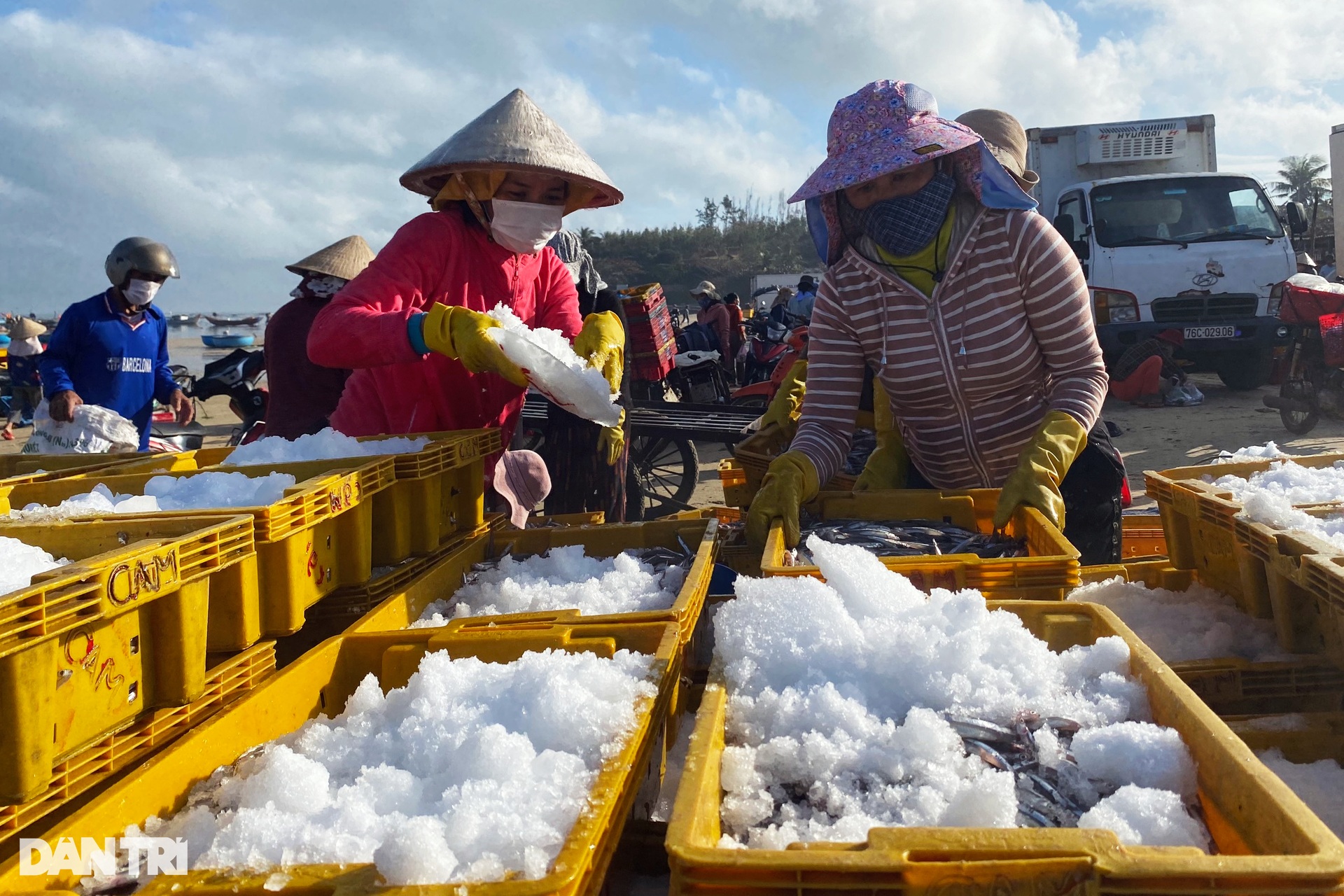 Chợ cá Bình Châu, Bình Sơn, Quảng Ngãi.