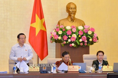 5 năm Quốc hội mới quyết 1-2 dự án quan trọng quốc gia, sao phải tăng gấp đôi vốn?