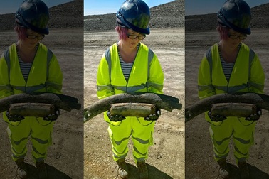 Phát hiện xương voi ma mút 130.000 năm tuổi khi… đào đường