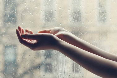 Xin con tim thôi đừng thổn thức... 