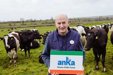 Chuyện người vắt sữa bò xứ Ireland